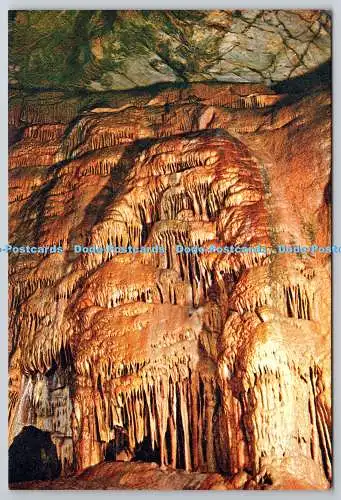 D305774 Cheddar Goughs Caves St Pauls Cascade of stalagmit J Arthur Dixon Newpo