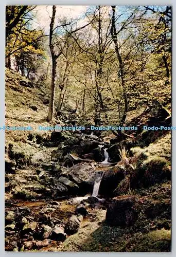 D305778 Yorkshire Ilkley Hebers Ghyll J Arthur Dixon Newport England Farbfoto