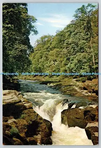 D305783 Yorkshire The Strid J Arthur Dixon Newport England Ein natürliches Farbfoto