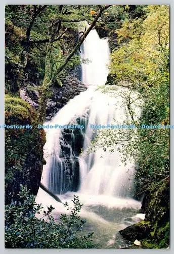 D305784 Schottland Glen Trool National Forest Park The Buchan Burn J Arthur Dixon