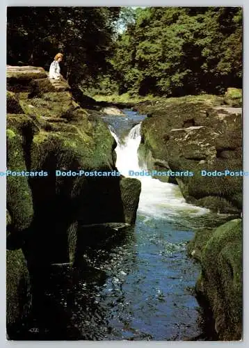 D305787 Yorkshire River Wharfe bei Bolton Abbey J Arthur Dixon Großbritannien C