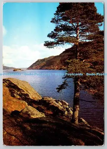 D305788 Westmorland Ullswater Stybarrow Crag with Birk Fell The National Trust J