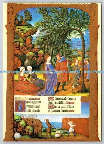 D305807 Die Flucht nach Ägypten Tres Riches Heures Buch mit 30 Postkarten Magna Buch