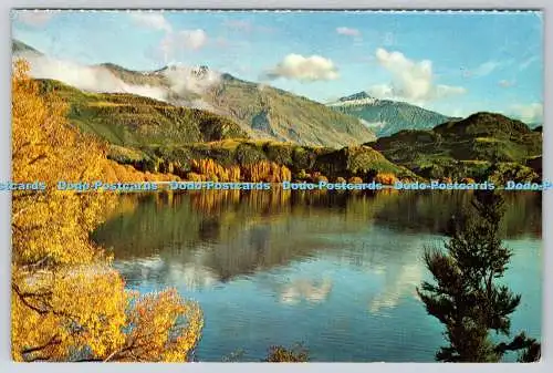 D311840 N Z Glendhu Bay Lake Wanaka Felicity Karte Gladys M Goodall