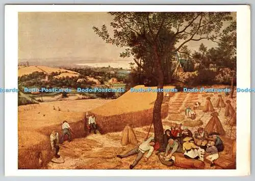 D311864 New York Metropolitan Museum Sommer Peter Breugel The Elder Anton Schrol