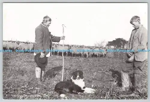 D311877 Alte Schaf Waffenstillstand Tag Girlande W S R O Downsway Postkarten