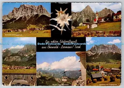 D311892 Tirol Ein Echter Edelweißgruss aus Ehrwald Lermoos Franz Milz Multi Vie