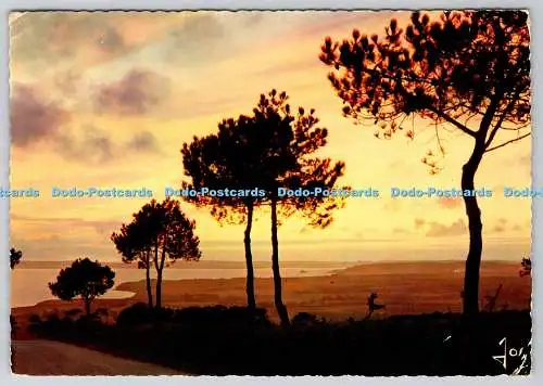 D311908 Coucher de Soleil Sur la Baie de Douarnenez Finistere Jos Iris 1970