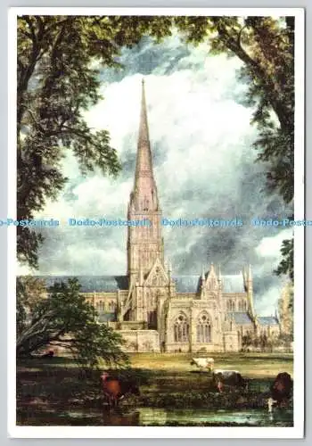 D305928 Salisbury Cathedral J Constable Royle Publications London England Postca