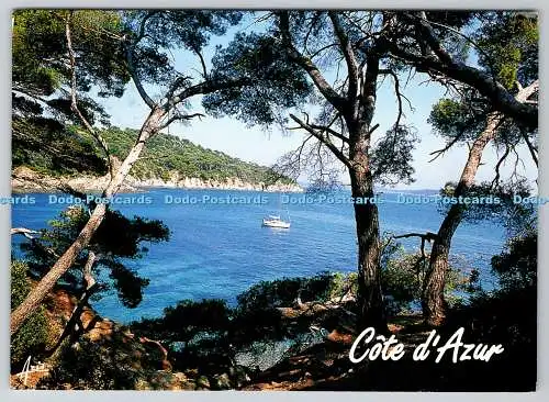 D311949 Cote d Azur Maris 2004