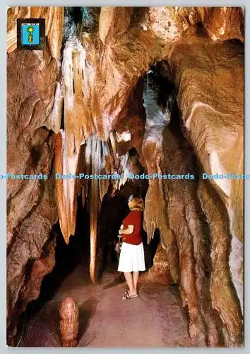 D306027 Vall de Uxo St Joseph Grotte EXCMO AYUNTAMIENTO Escudo de Oro FISA Barce