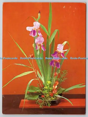 D306329 Dis mit Mohn und Schilfgrasern Neumann und Wolff Kiel Germany Kurt Horns