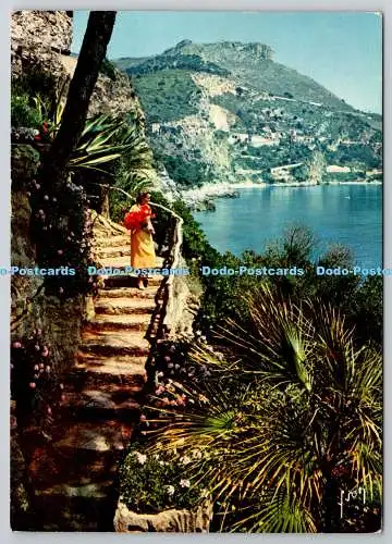 D306339 La Cote d Azur Le Cap D Ail et la Tete de Chien Couleurs et Lumiere de F