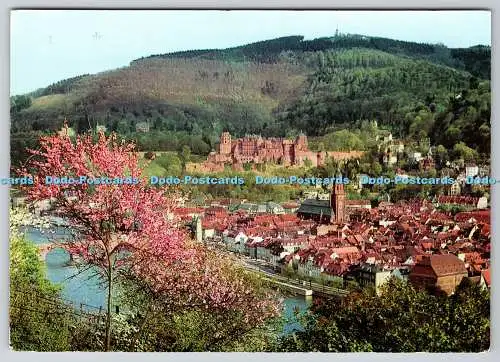 D312025 Heidelberg am Neckar. Blick vom Philosophenweg. Popp