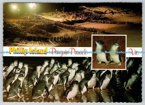 D312034 Phillip Island. Pinguinparade. Vic. Nucolorvue Productions. Multi View