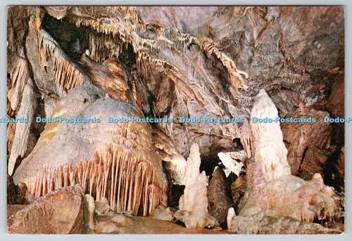 D312053 Cheddar. Salomo Tempel. Gough Caves. J. Arthur Dixon. Newport. I.W.En