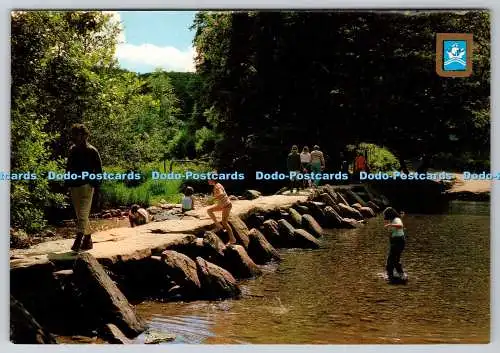 D312056 Exmoor. Tarrstufen. Fisa. 1986