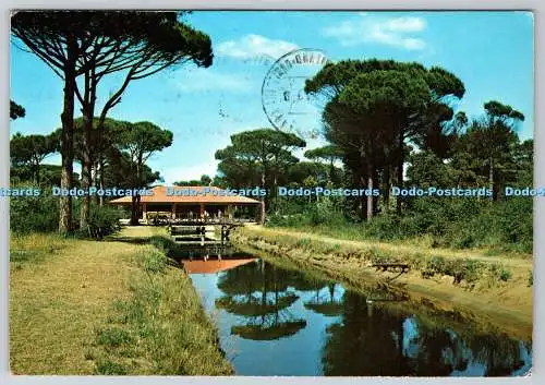 D312122 Cervia. Milano Marittima. n = Naturpark. Kleiner Kanal. B. Marcaccini. Ri
