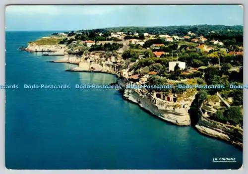 D312138 Meschers. Charente. Maritim. La Falaise et ses Celebres Grottes. La Cig