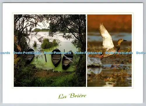 D312277 La Briere. Parc Regional de Briere. Wagenheber. Multi View