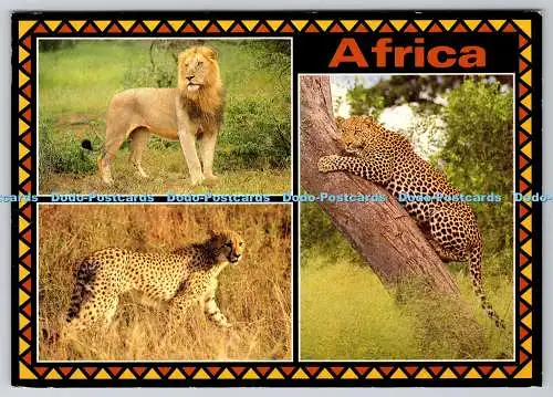 D312459 Afrika. Löwe. D. Allen. Fotosafari. Multi View