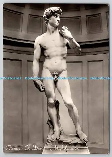 D312558 Florenz. Der David. Michelangelo. G. Innocenti. Omniafoto. RP
