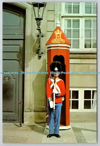 D312610 The Guards. Schloss Amalienborg. Kopenhagen. Dänemark. Coloram. TLF