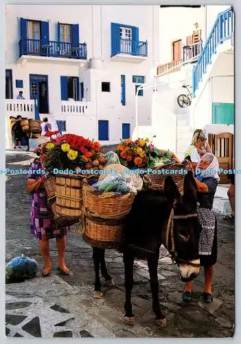 D312891 Zypern. M. Toubis S.A. Erato Cyprus Editions