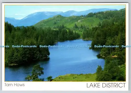 D312945 Lake District. Tarn Hows. Fred Spencer. Elliot Publishing. Wetherby. Eng