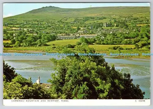 D312956 Carningli Mountain und Newport. Pembs. Richter. Hastings. PM Dyfed