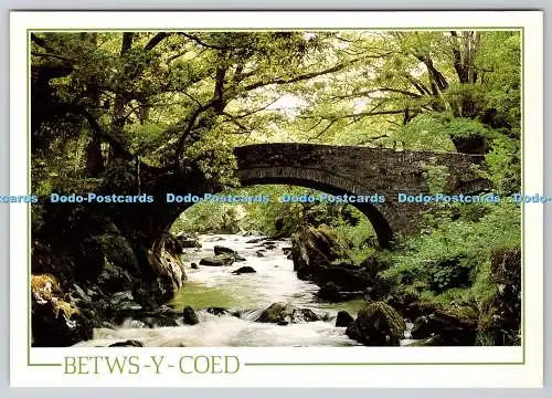 D312958 Betws Y Coed. Die Lledr-Brücke. Gwynedd. Guy Passmore. J. Arthur Dixon.