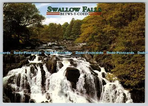D312959 Wales. Betws Y Coed. Peter Baker. International Photobank. John Hinde Lt