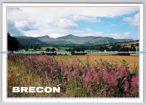 D312967 Brecon. Powys. Colin Underhill. J. Arthur Dixon. Cyfarchion o Gymru. 199