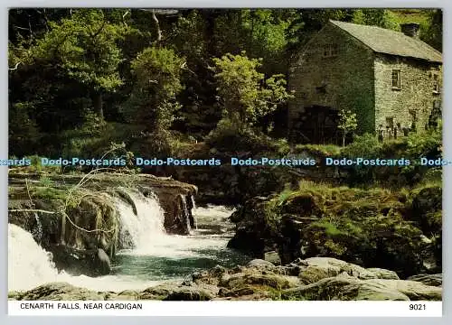 D312970 Cenarth Falls. Nahe Strickjacke. Haven Colourprint. Pembroke Dock. Pembroke