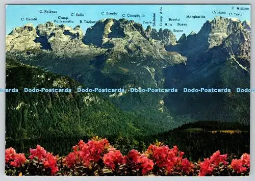 D313074 Le Dolomiti di Brenta da Pancugolo. Hermes. DMUE. G. Pedrotti. Trient