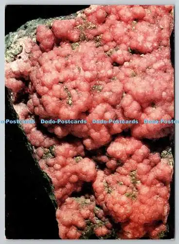 D322128 Rhodochrosit mit Pyrit. Präfektur Aomori. Japan. Farbe 6 Geologie Ul