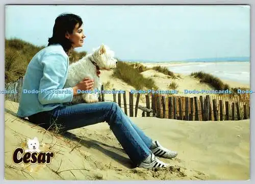 D314098 Cesar. Hund. Masterfoods 2002. 2003. Postkarte