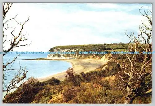 D316940 Whitecliff Bay. Isle of Wight. The National Trust. J. Arthur Dixon. Newp