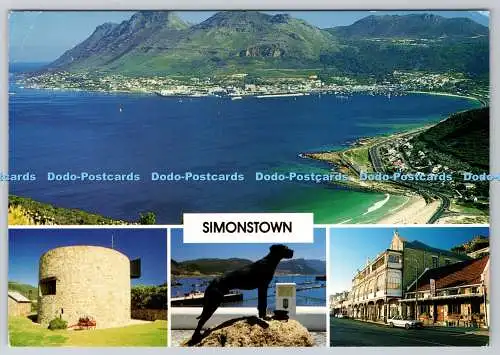 D316961 Simonstown. Clifton-Publikation. Mark van Aardt. Hirt und Carter. Multi