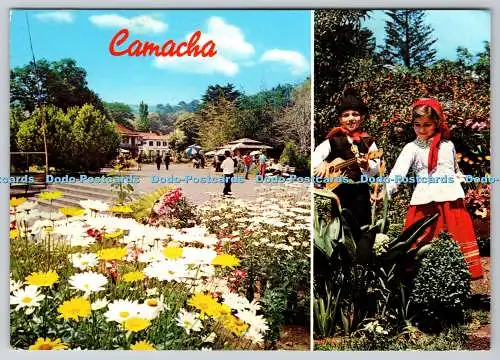 D316974 Camacha. Madeira. Place Conselheiro Aires D Ornelas. PM Correios. 1974.
