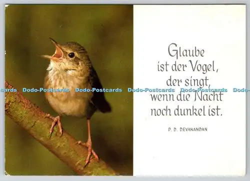 D313158 Vögel. Eine Groh Karte. Würdig. 1994