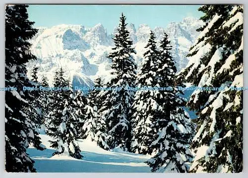 D316977 Dolomiti. Trentino. Andalo. Valer Via Tomaso Gar. Trient. Banal. Multigr