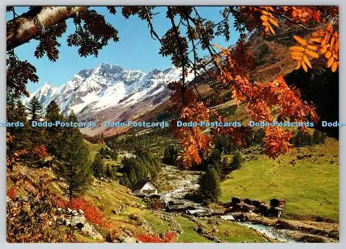 D314163 Wallis. Bei Blatten im Lotschhental. Edition Stehli. Schweiz. Nr. 27