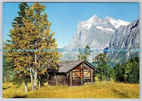 D314164 Wetterhorn. Grindelwald. Edition Stehli. Schweiz. Nr. 2598. Postkarte