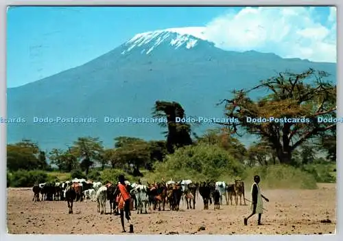 D316994 Massai Hirten mit Mt. Kilimandscharo im Hintergrund. Sapra Studio. Nairobi