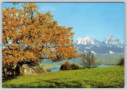 D314165 Lowerzersee und Mythen. Edition Stehli. Schweiz. Nr. 2599. Postkarte