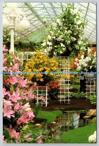 D322221 Keukenhof Lisse Holland. Planeta. Haarlem