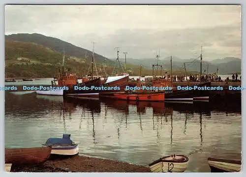 D316999 Lochbesen. Ullapool. Ross Shire. Die Ankunft der Fischereiflotte attra