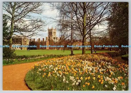 D313183 Springtime St John College. Cambridge. J. Salmon Ltd. Sevenoaks. Kent