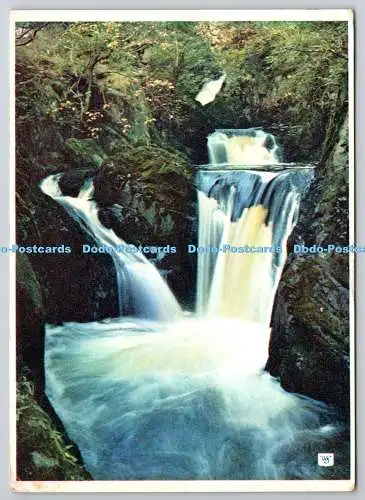 D322283 Pecca Twin Falls. Ingleton. Yorkshire. Walter Scott. Bradford. PM Cardfo